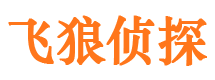 卢龙寻人公司